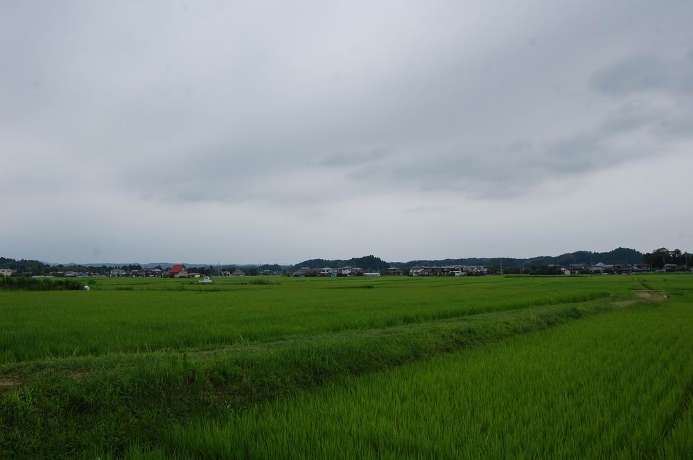 新生活