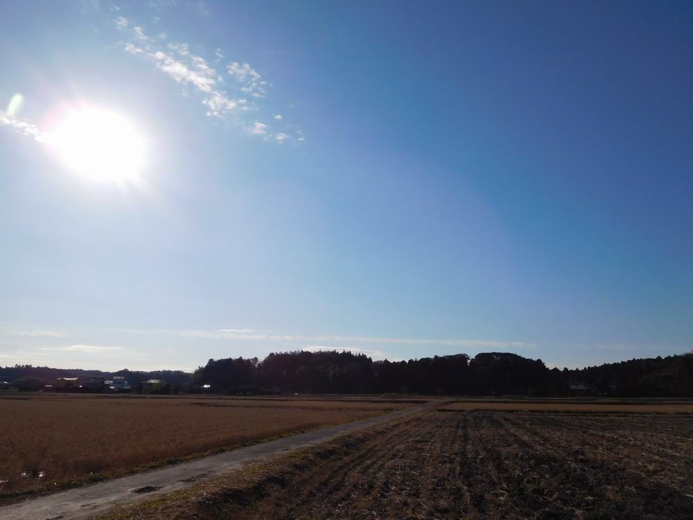 新生活