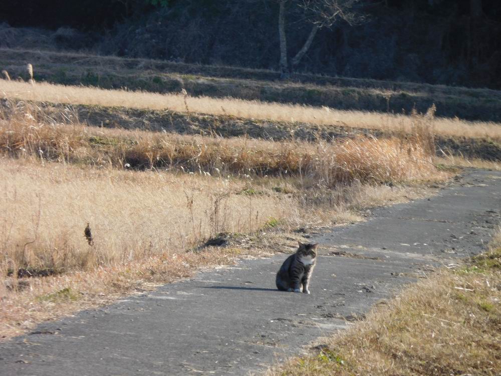 新生活