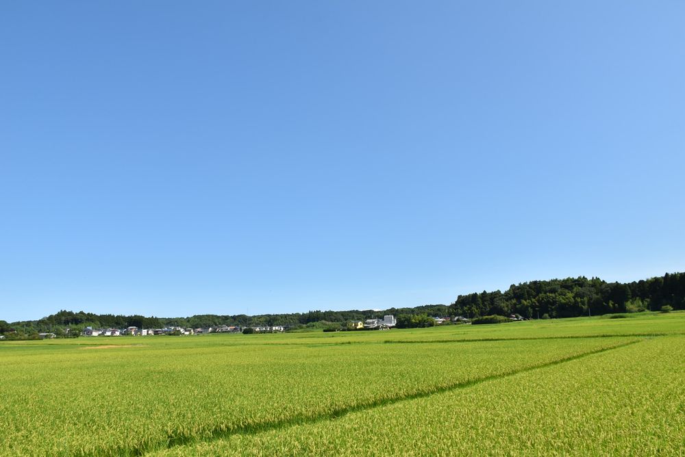新生活