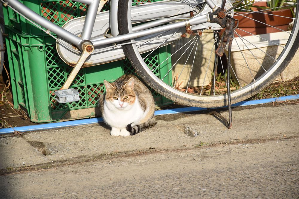 新生活
