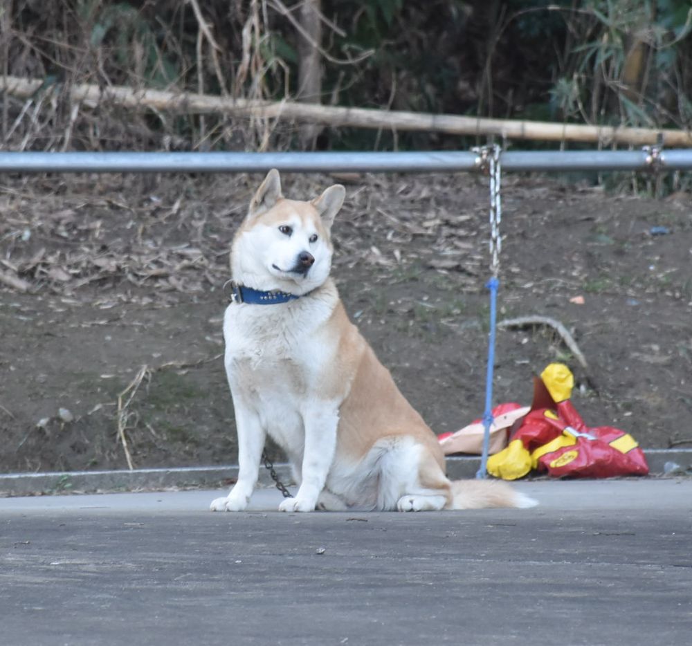 新生活