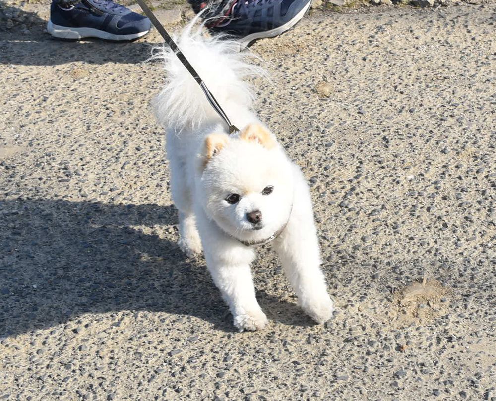 新生活