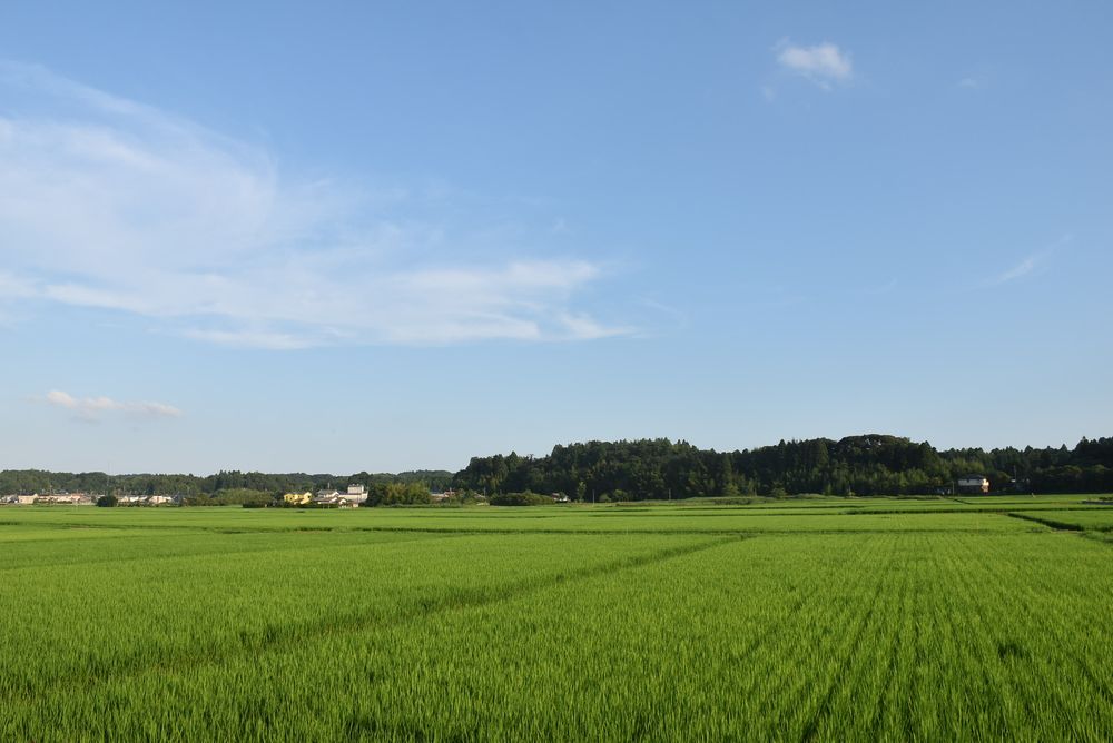 新生活