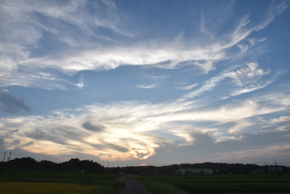 新生活