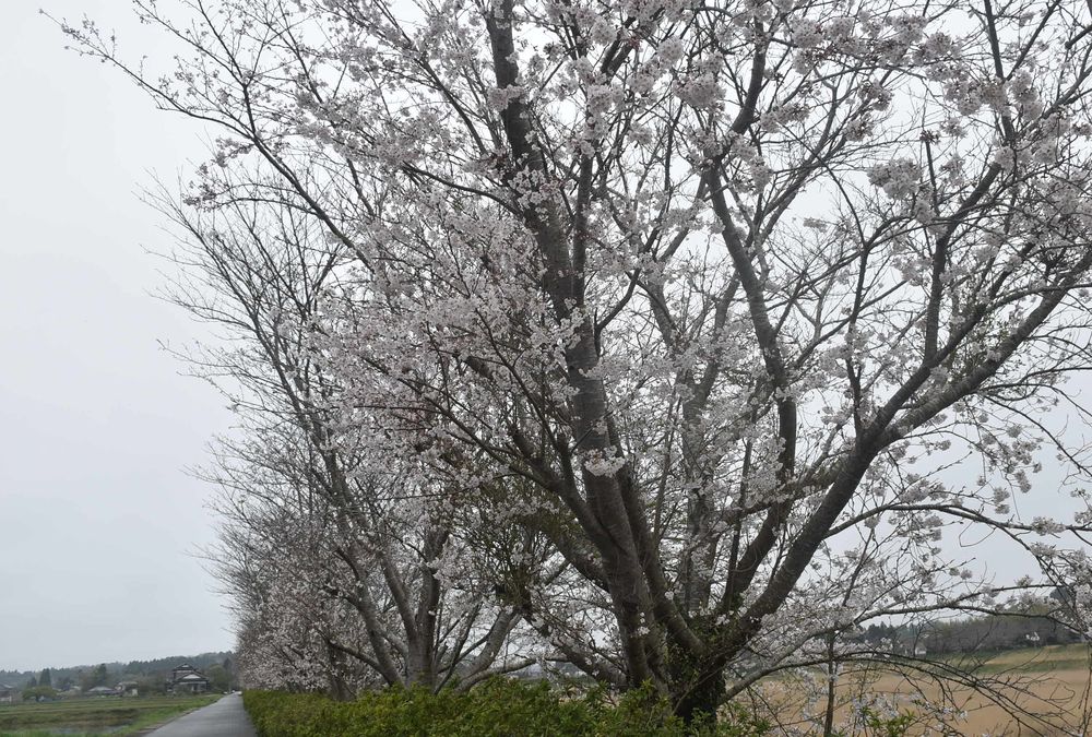 新生活